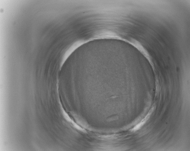 X0000066511390200603241255