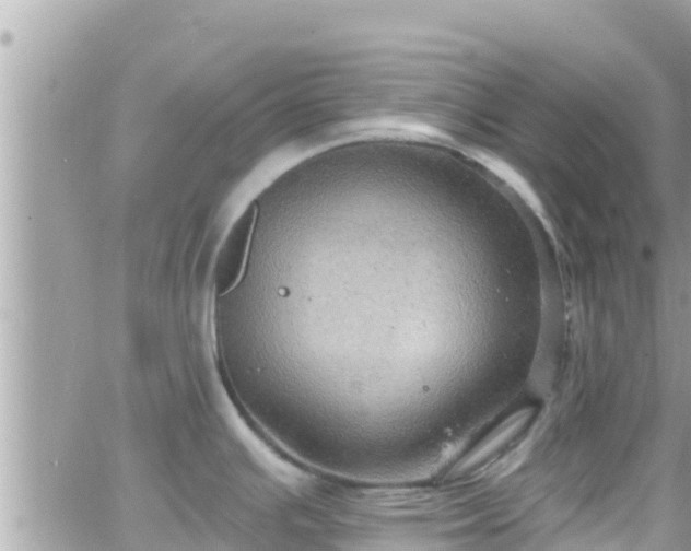 X0000066511391200603241255