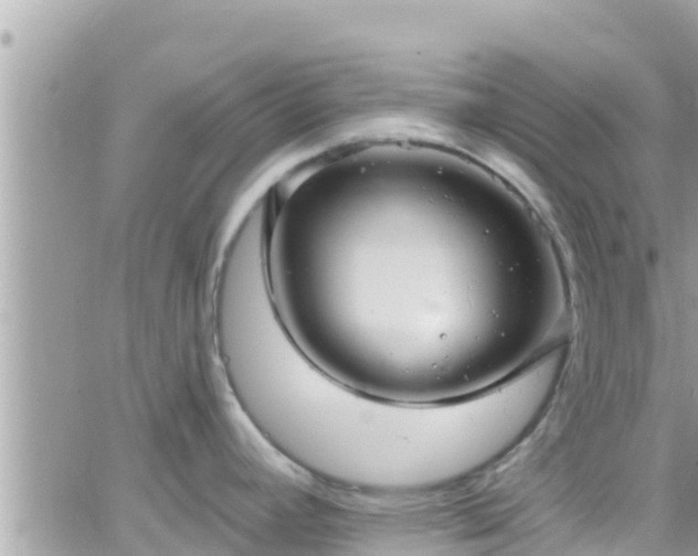 X0000066511392200603241255