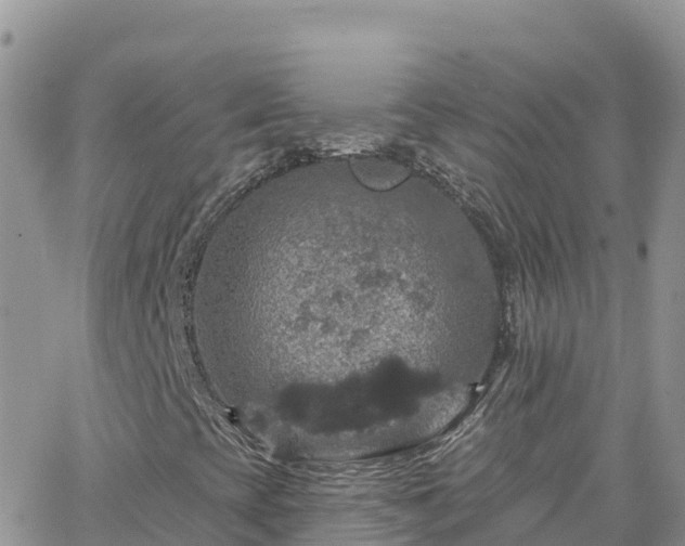 X0000066511393200603241255