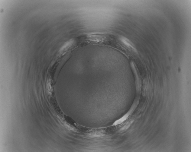 X0000066511394200603241255