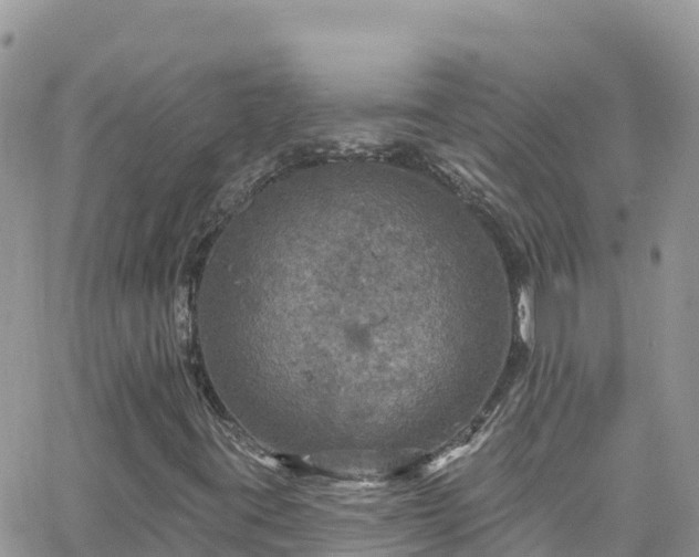 X0000066511395200603241255