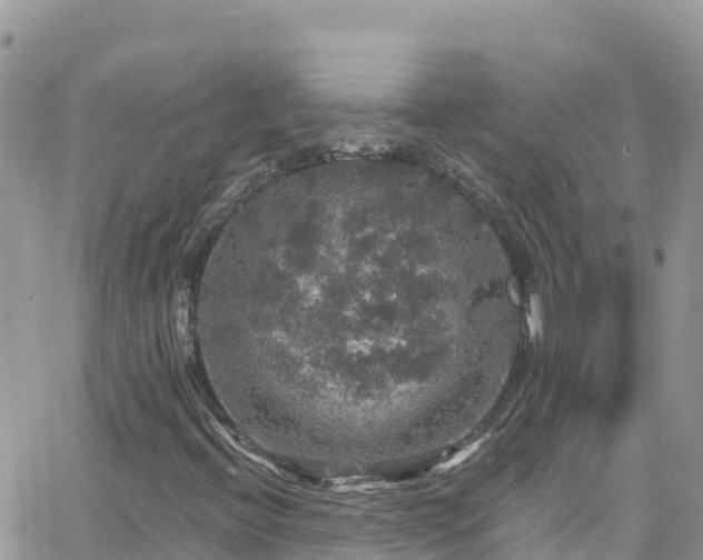 X0000066511396200603241255