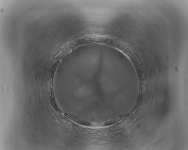 X0000066511397200603241255