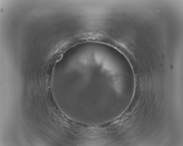 X0000066511399200603241255