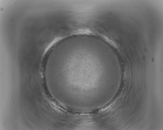 X0000066511400200603241255