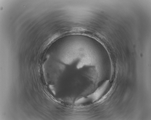 X0000066511401200603241255