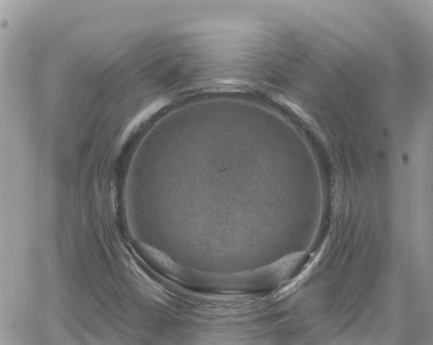 X0000066511402200603241255