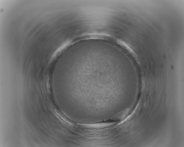 X0000066511403200603241255