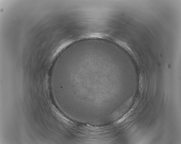 X0000066511404200603241255