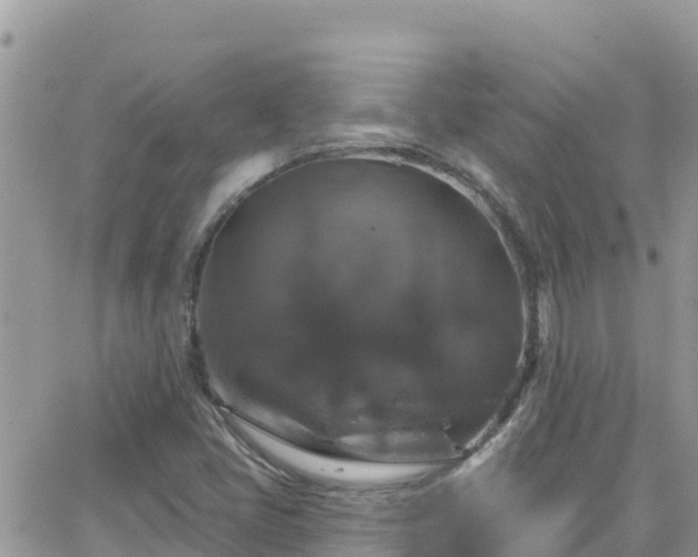 X0000066511405200603241255