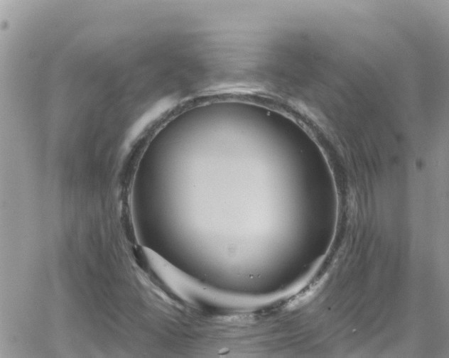 X0000066511406200603241255