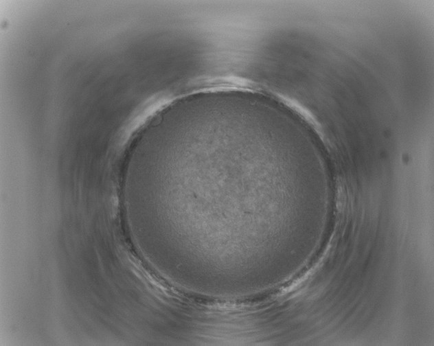 X0000066511407200603241255