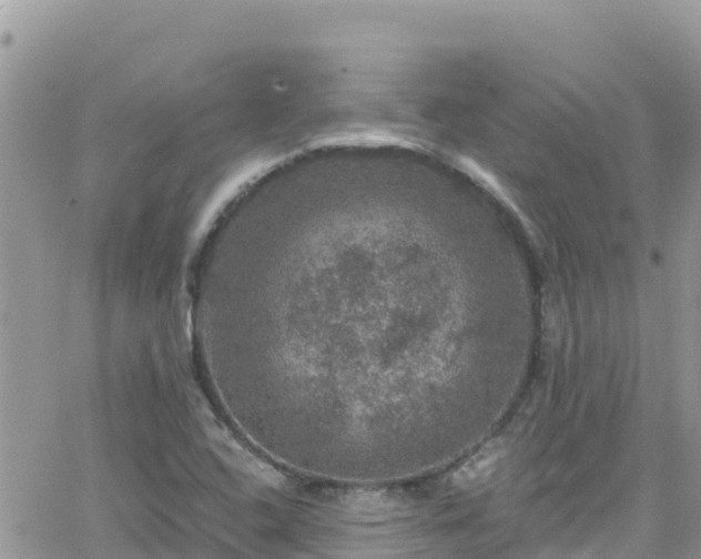 X0000066511408200603241255