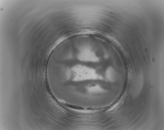 X0000066511409200603241255