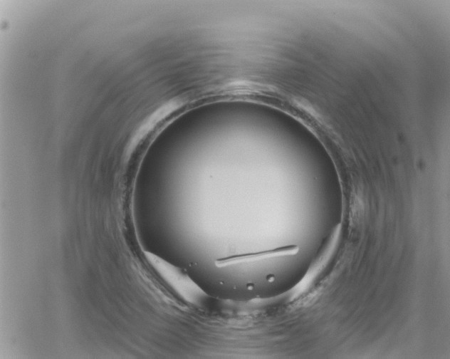 X0000066511410200603241255