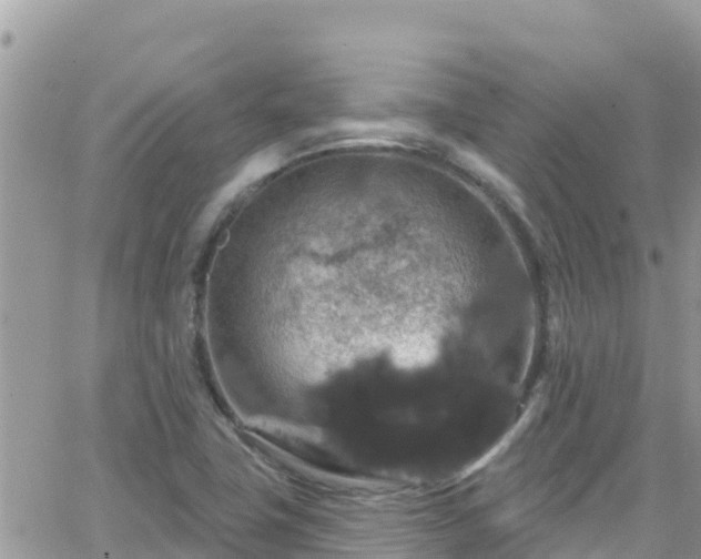 X0000066511411200603241255