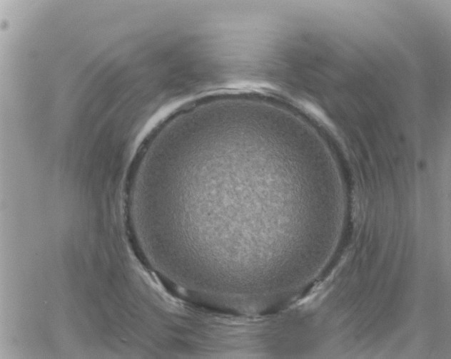 X0000066511412200603241255