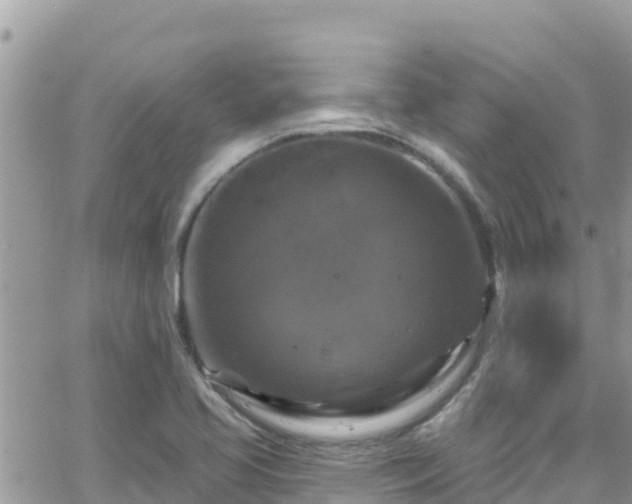 X0000066511413200603241255