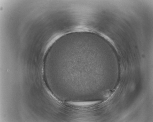 X0000066511415200603241255