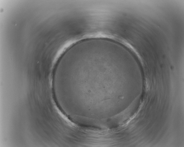 X0000066511416200603241255