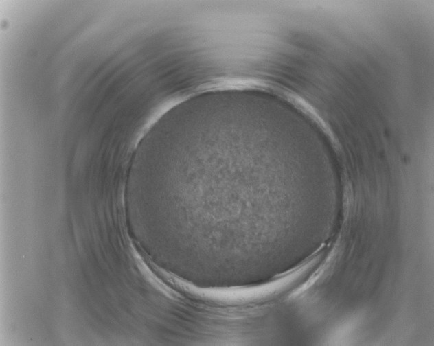 X0000066511417200603241255