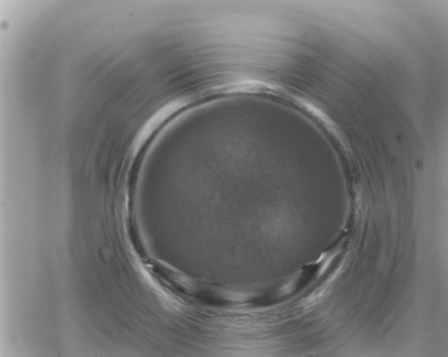 X0000066511418200603241255