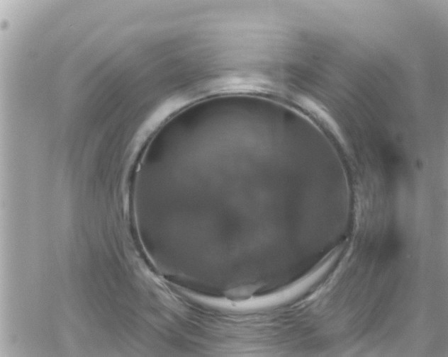 X0000066511419200603241255