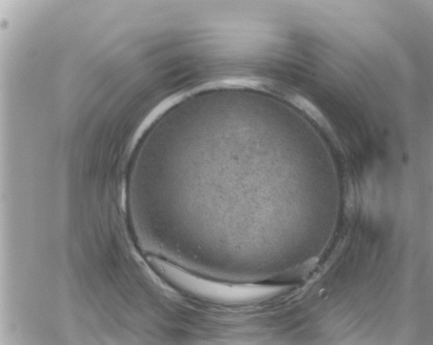 X0000066511420200603241255