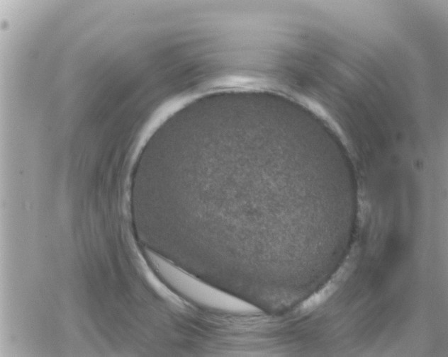 X0000066511421200603241255