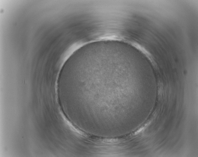 X0000066511423200603241255