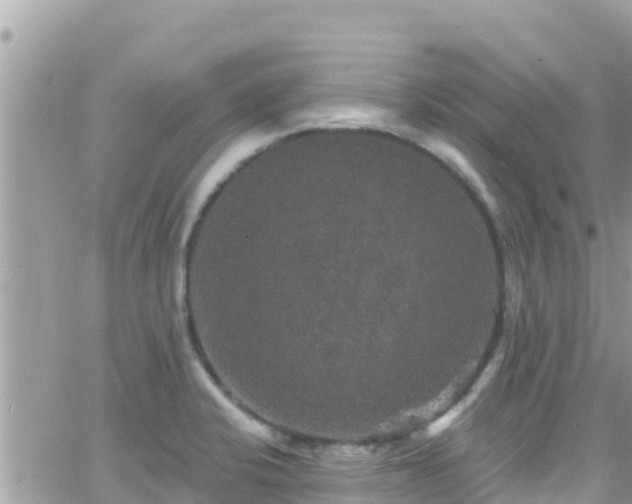 X0000066511424200603241255