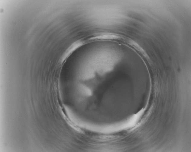 X0000066511425200603241255