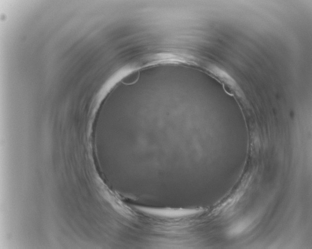 X0000066511427200603241255