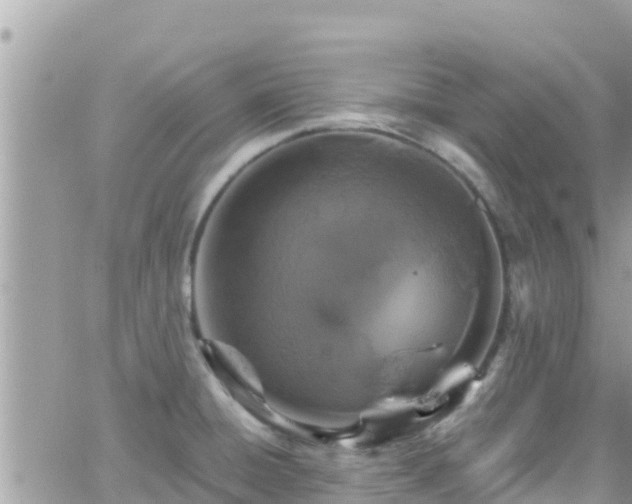 X0000066511428200603241255