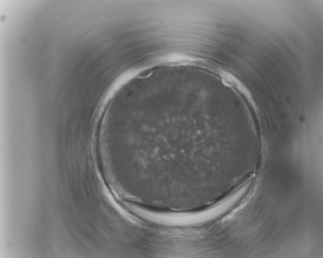 X0000066511429200603241255