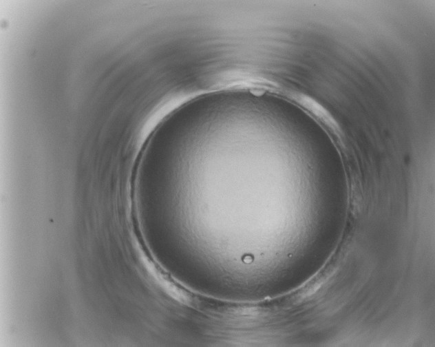 X0000066511431200603241255