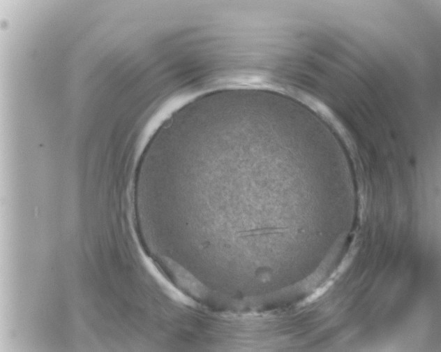 X0000066511432200603241255