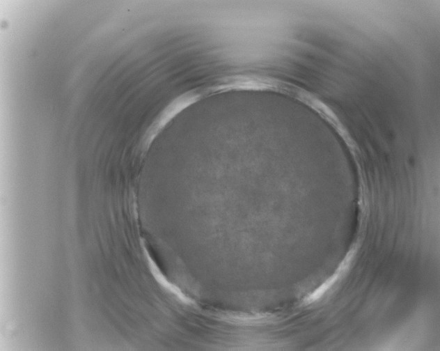 X0000066511433200603241255