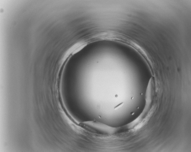 X0000066511434200603241255