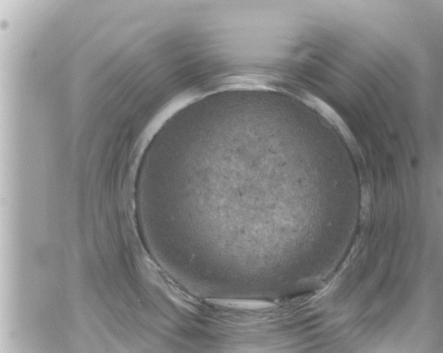 X0000066511435200603241255