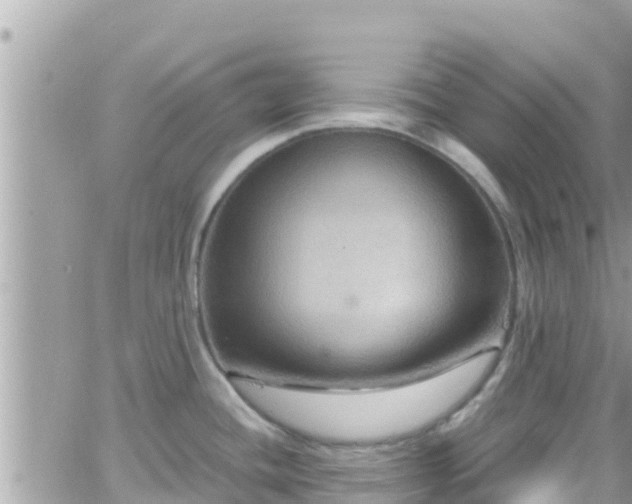 X0000066511436200603241255