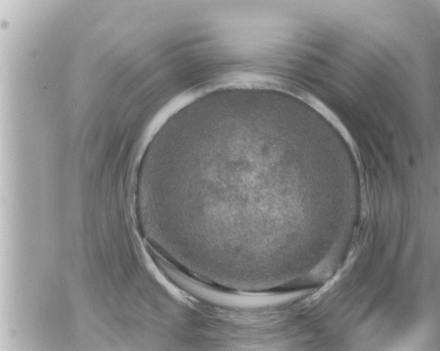 X0000066511437200603241255