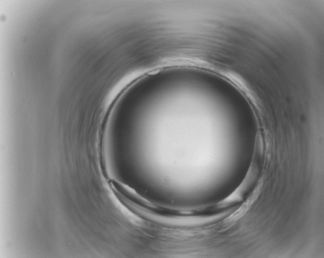 X0000066511438200603241255