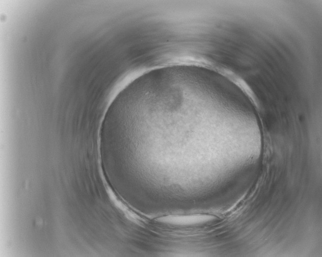 X0000066511439200603241255