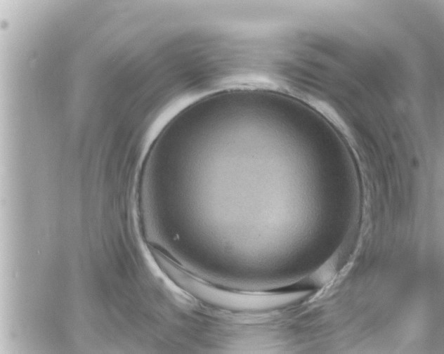 X0000066511440200603241255