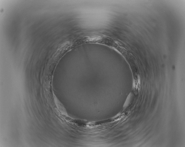 X0000066511441200603241255