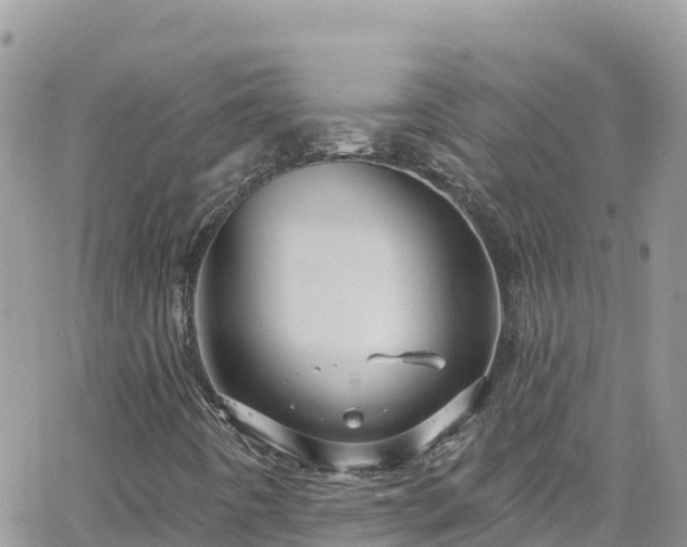 X0000066511442200603241255