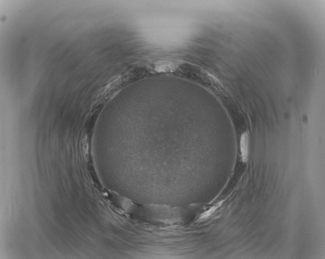 X0000066511443200603241255