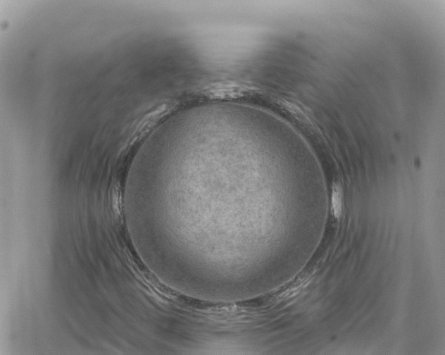 X0000066511444200603241255